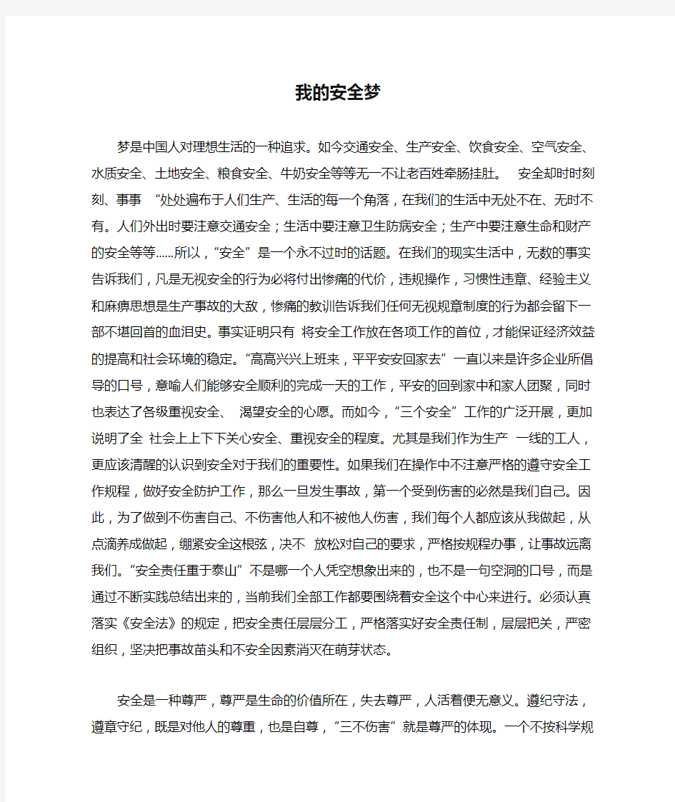 我的安全梦