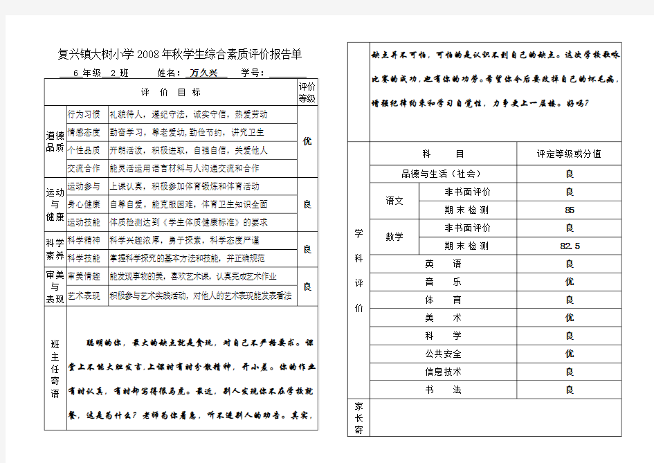 六年级学生综合素质评价报告单