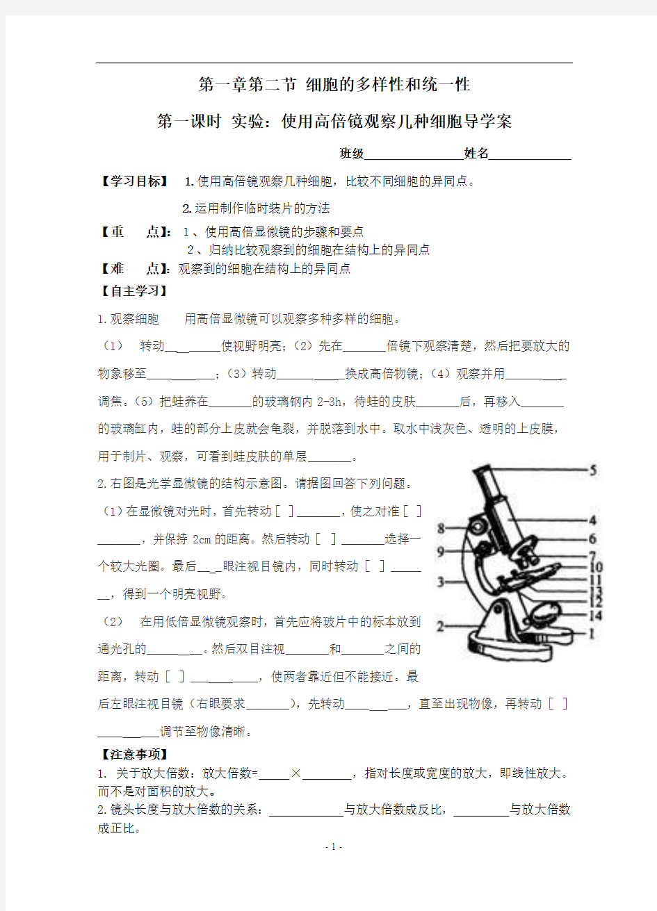 使用显微镜观察几种细胞_导学案