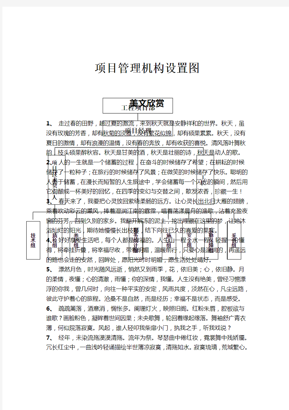 项目管理机构设置图