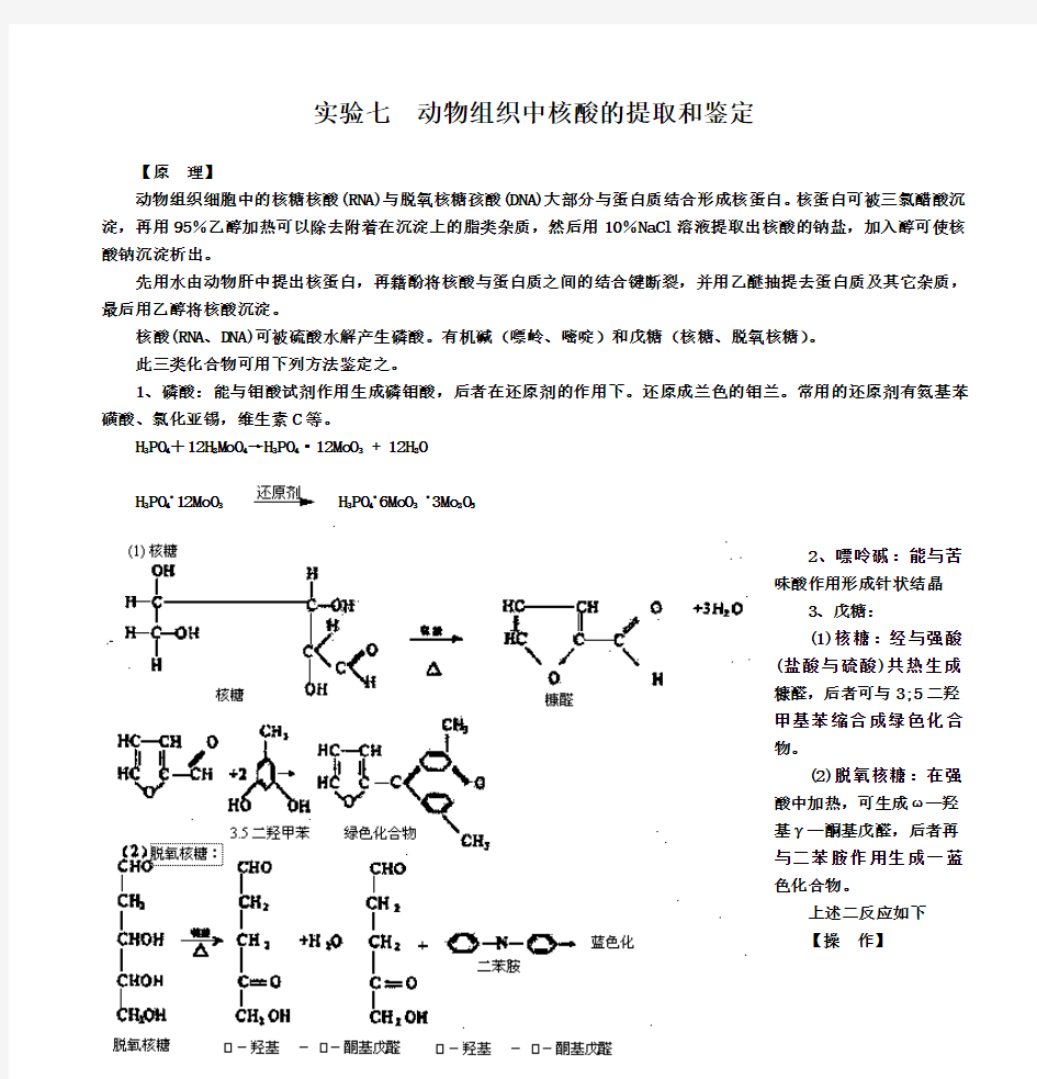 实验九-动物组织中核酸的提取和鉴定