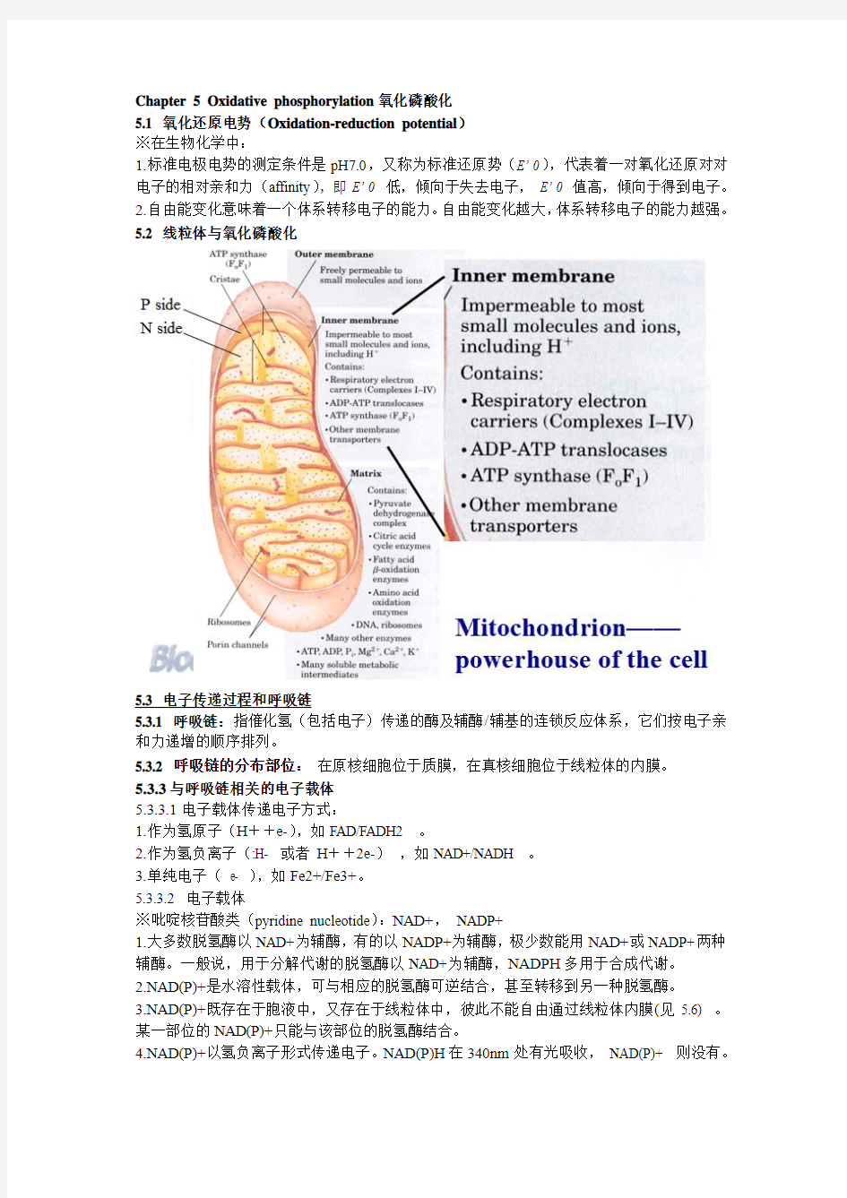 Chapter 5 Oxidative phosphorylation