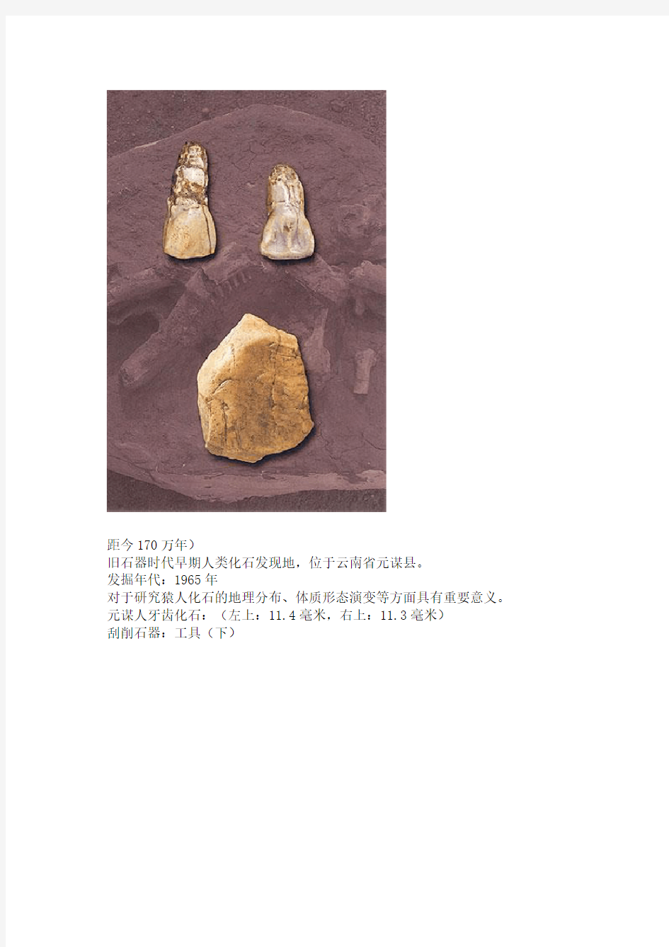 中国20世纪100项考古大发现
