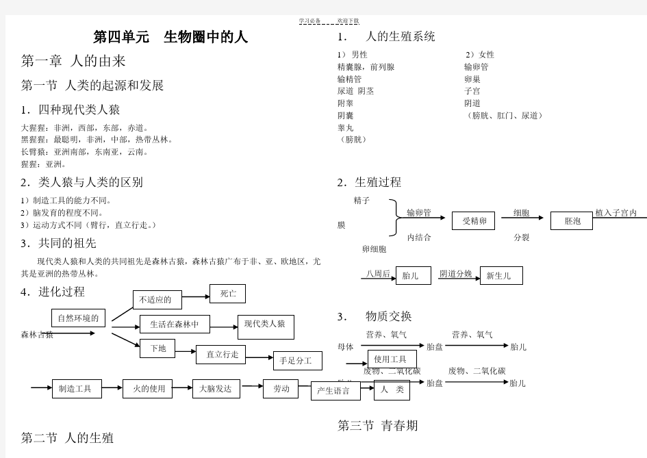 七年级下生物总复习(笔记)