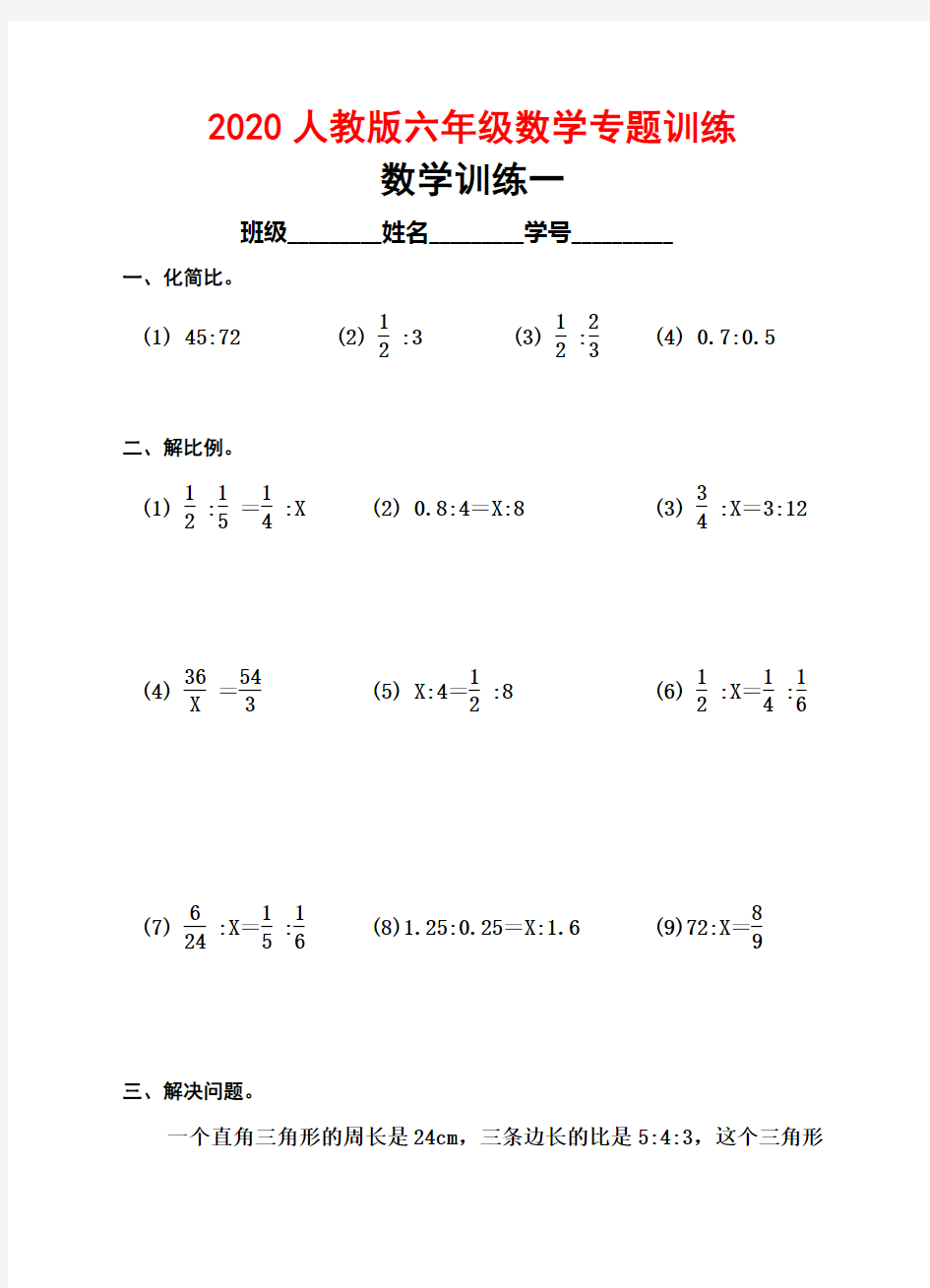 2020人教版六年级数学专题训练(7套)