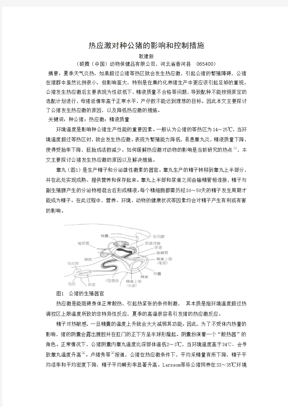 热应激对种公猪的影响和控制措施