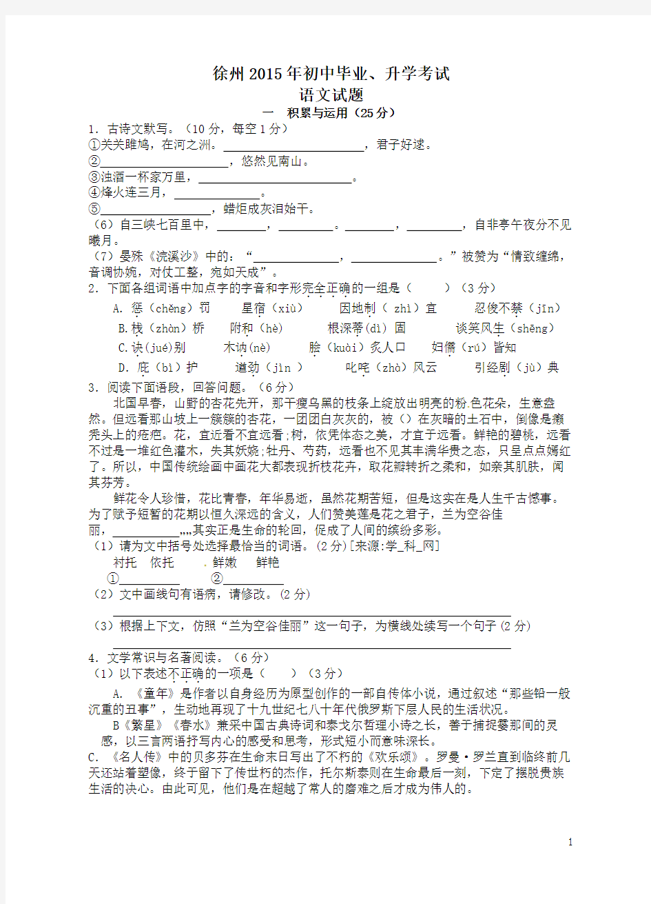 2015年江苏省徐州市中考语文试题及答案