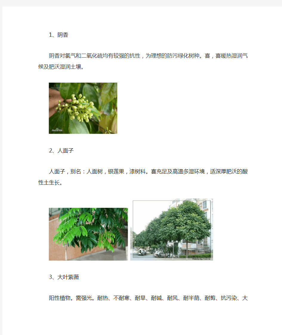 广东常见园林植物1