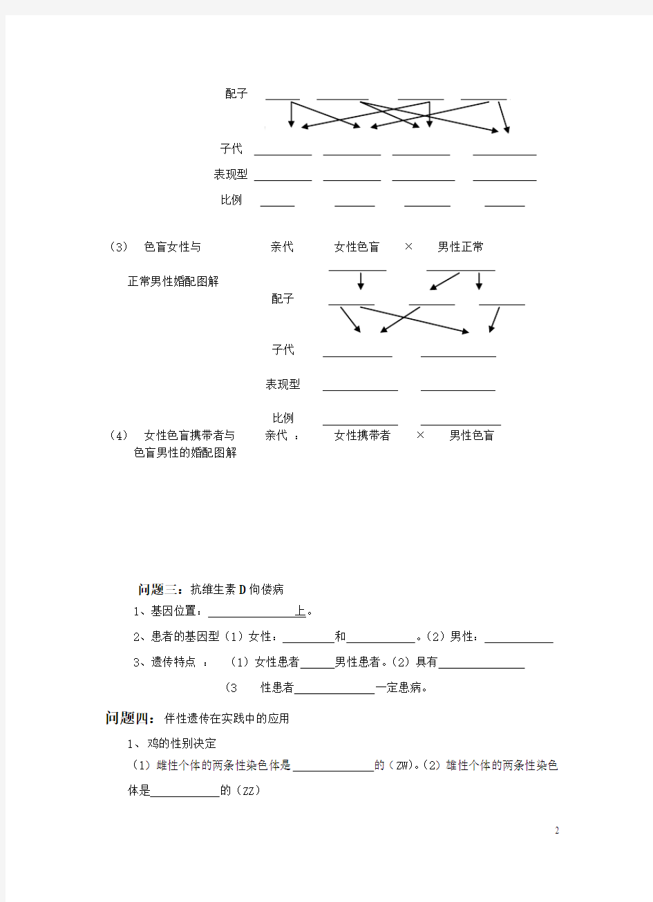 伴性遗传(导学案)