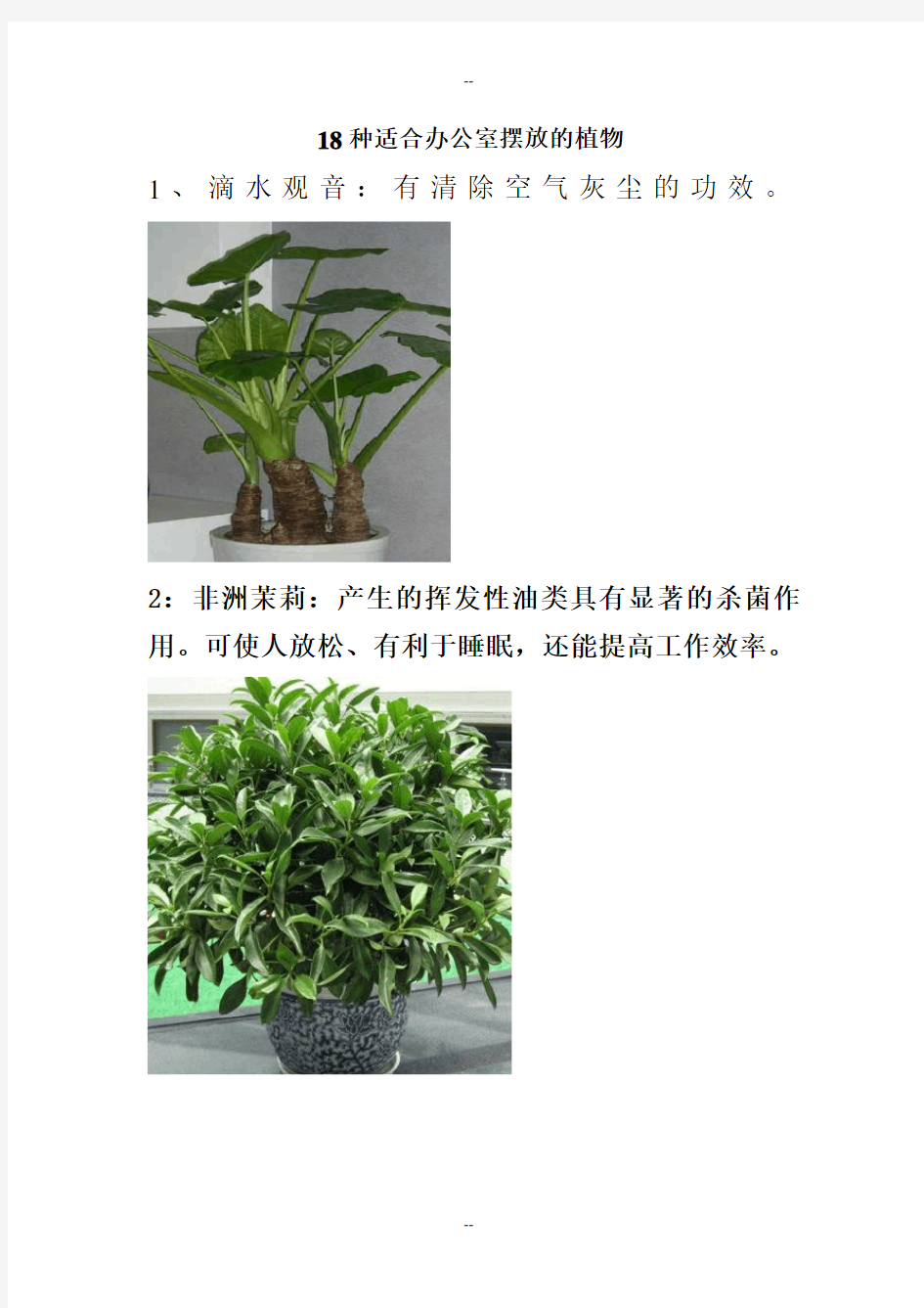 18种适合办公室摆放的植物