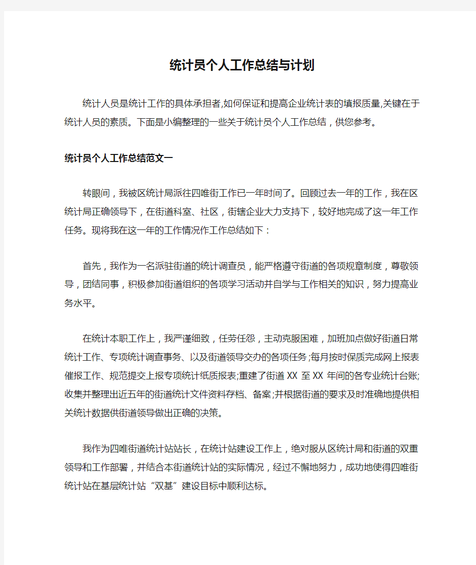 统计员个人工作总结与计划