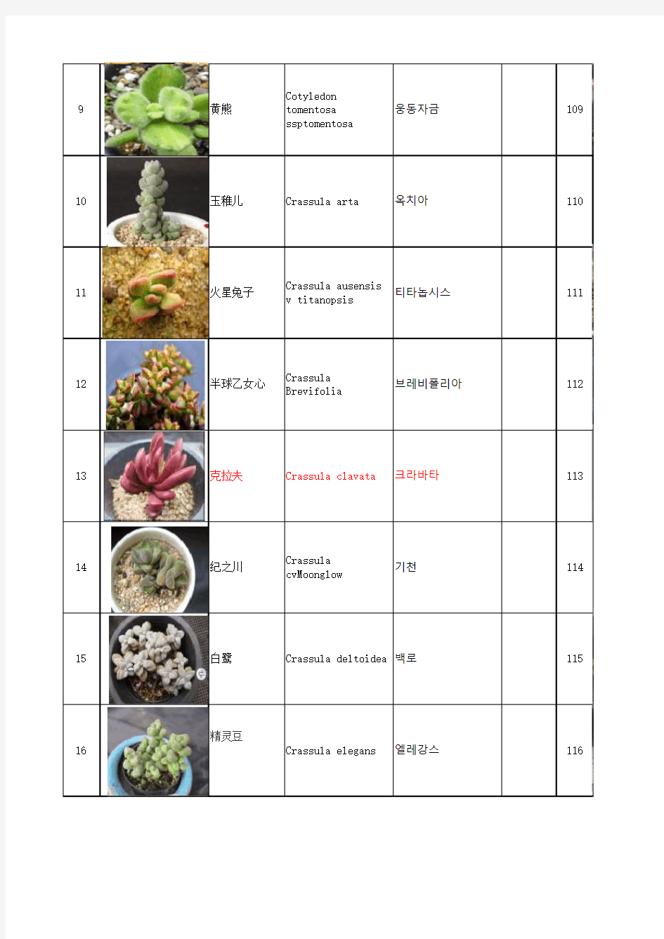 300种多肉植物拉丁文及韩文名含图片