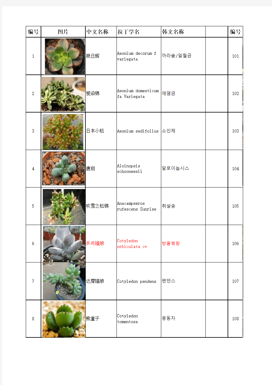 300种多肉植物拉丁文及韩文名含图片