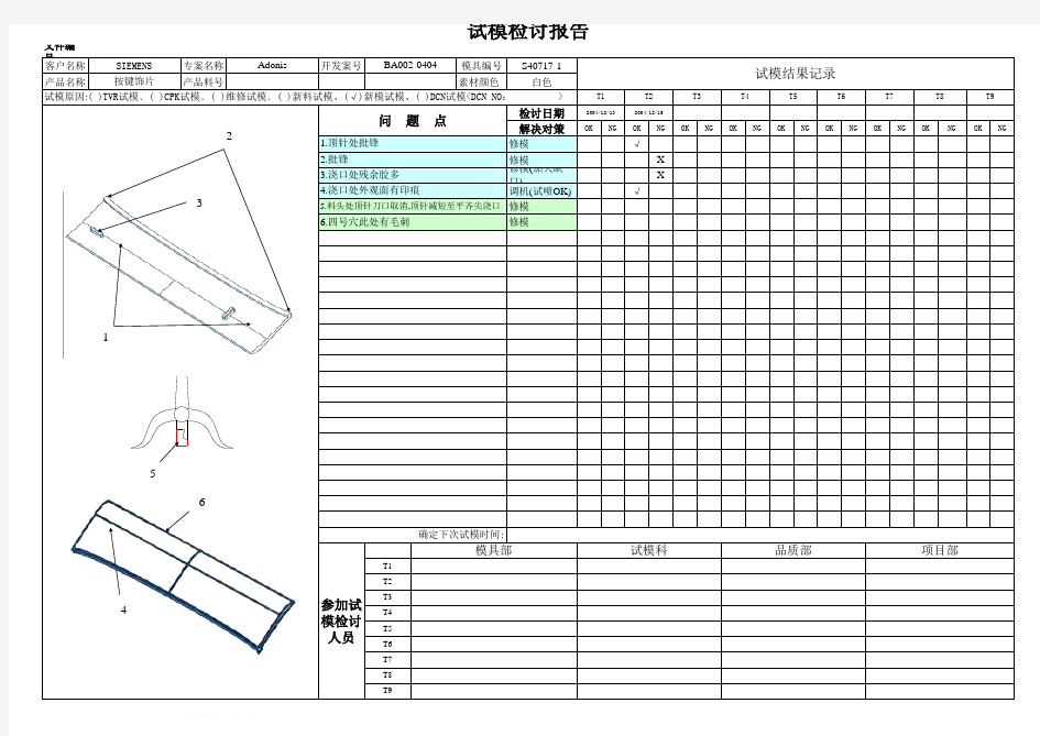 试模检讨报告