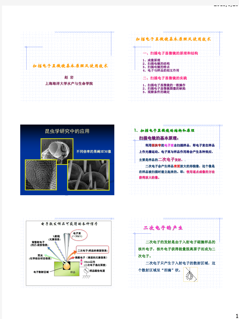 扫描电镜原理及操作