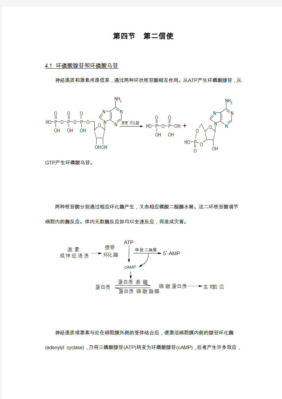 第四节  第二信使