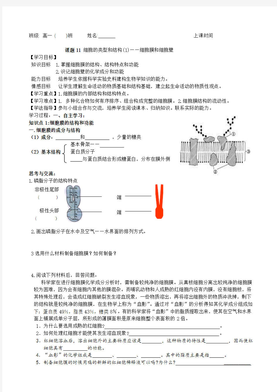 细胞的类型和结构(1)