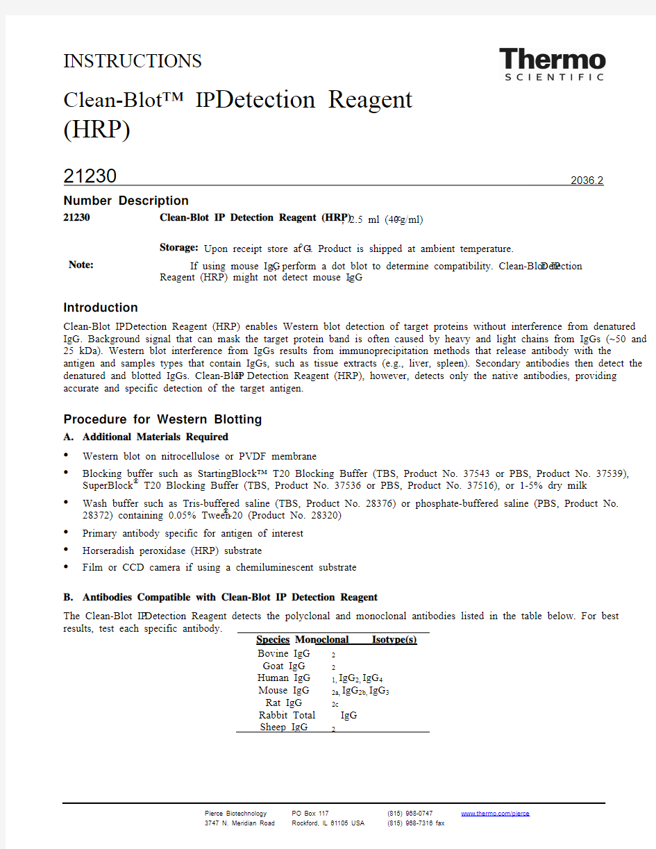clean-blot IP detection reagent(HRP)21230