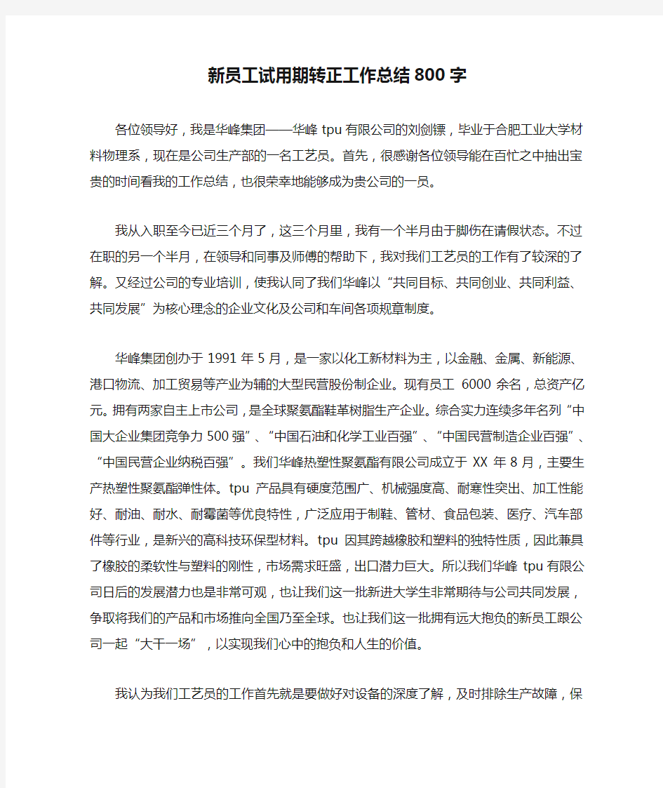 新员工试用期转正工作总结800字