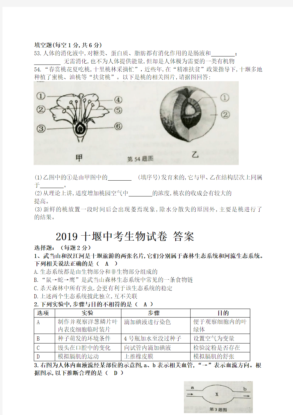 (中考真题)2019年湖北省十堰市中考生物试题(有答案)-全新整理