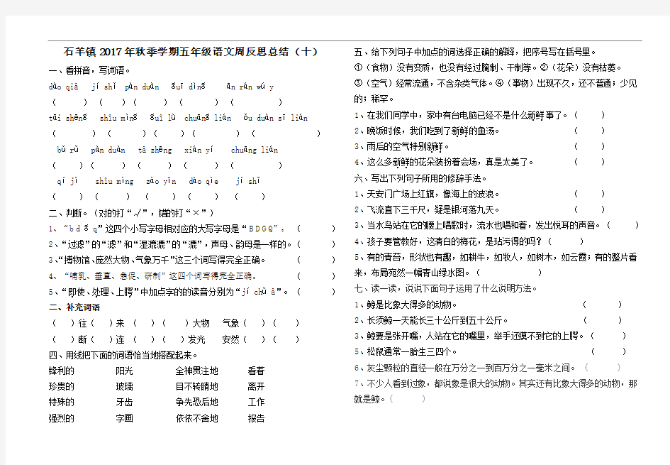 五年级周清试卷