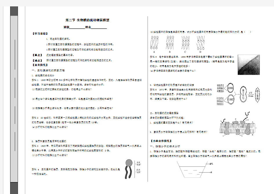 4.2 生物膜的流动镶嵌模型 学案