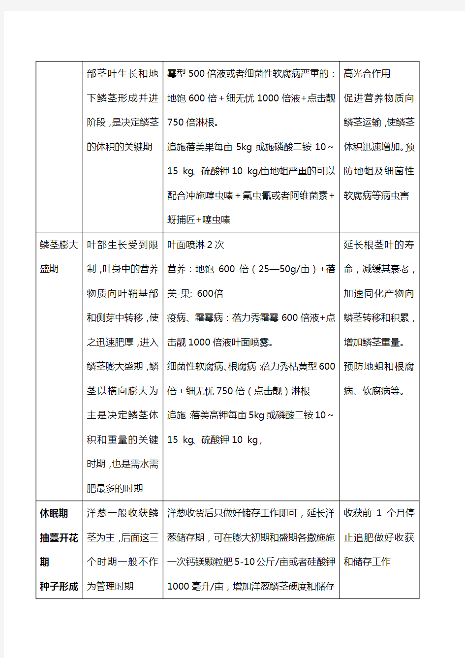 洋葱全程种植管理技术