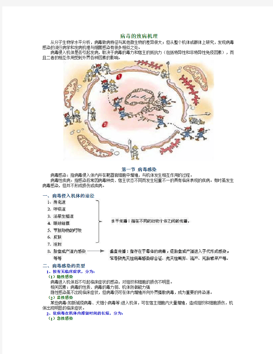 病毒的致病机理