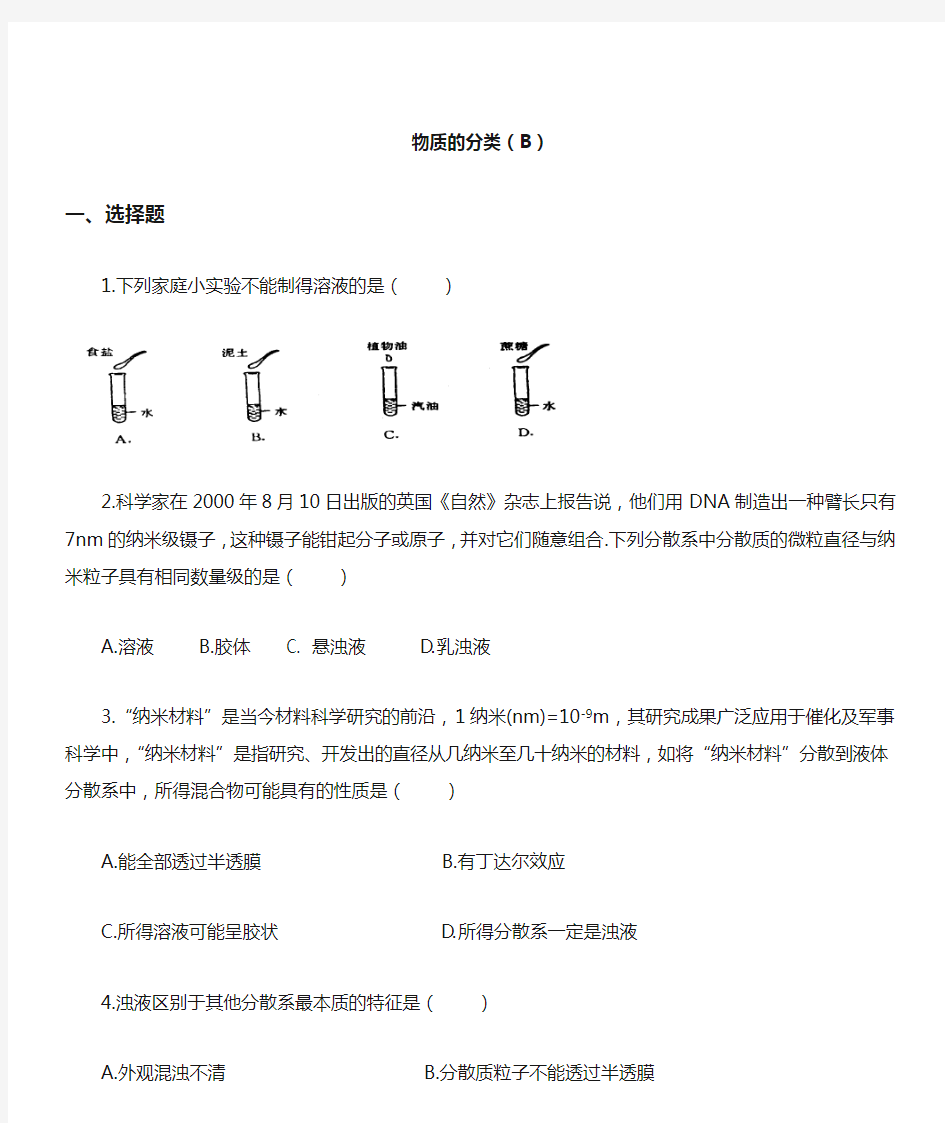 物质的分类B