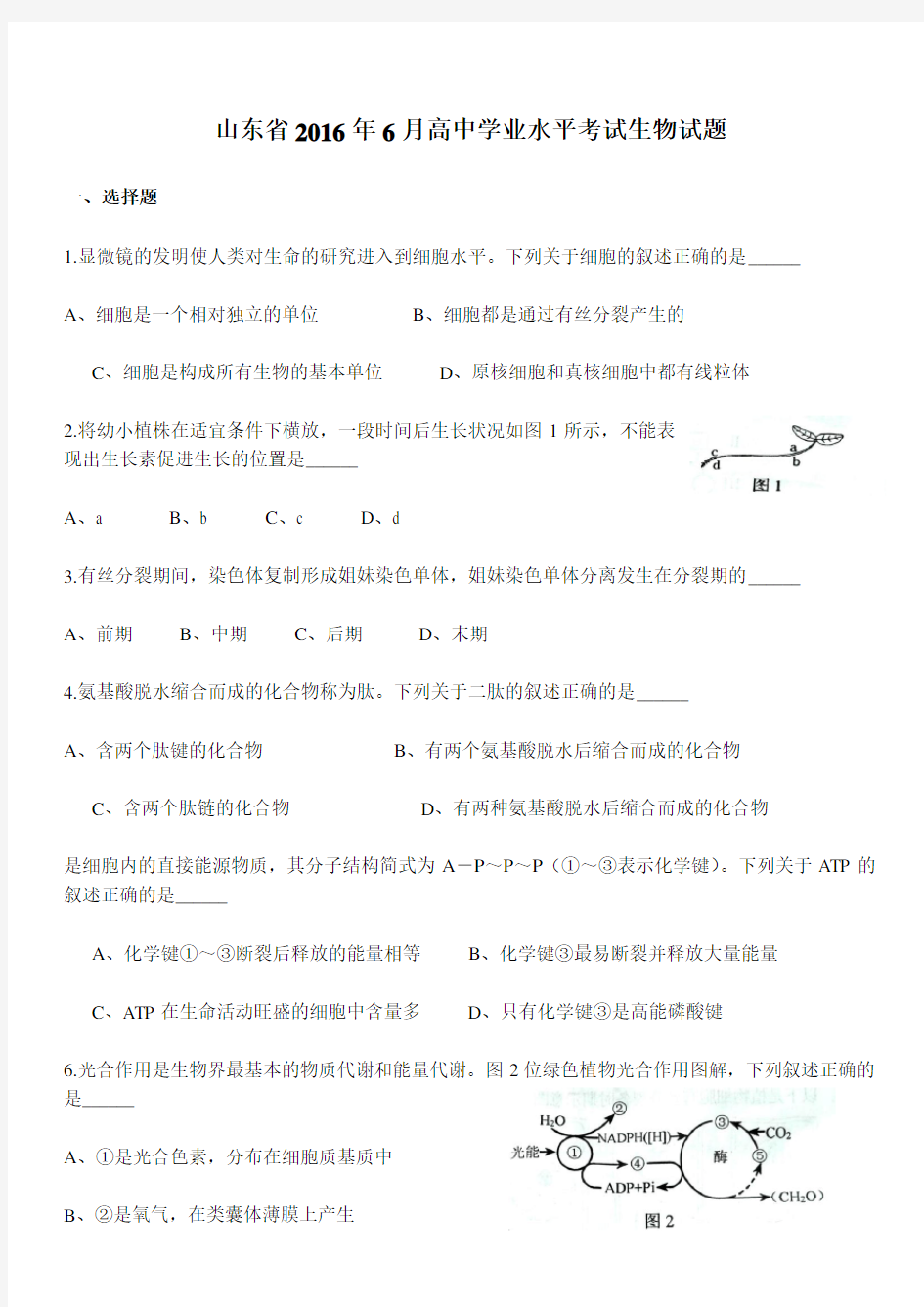 高中学业水平考试生物试题及答案