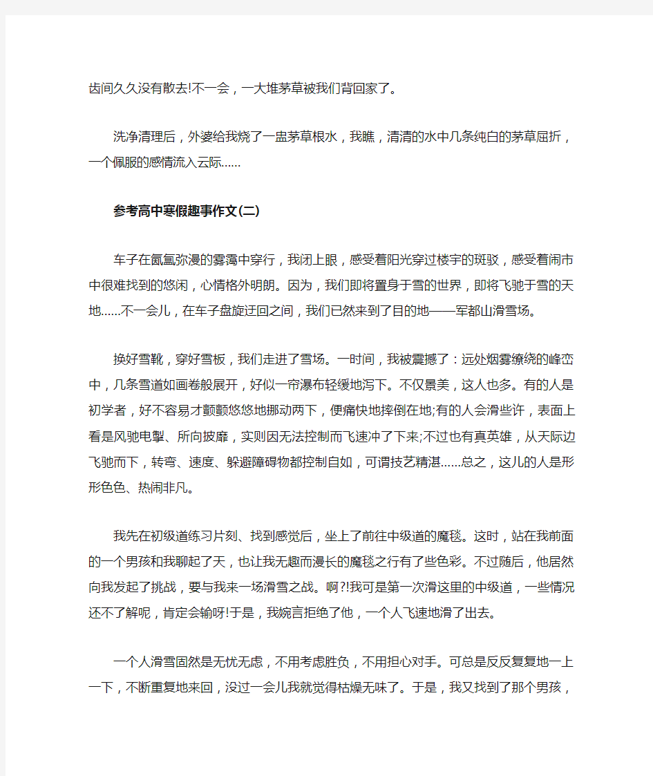 高中寒假趣事作文五篇