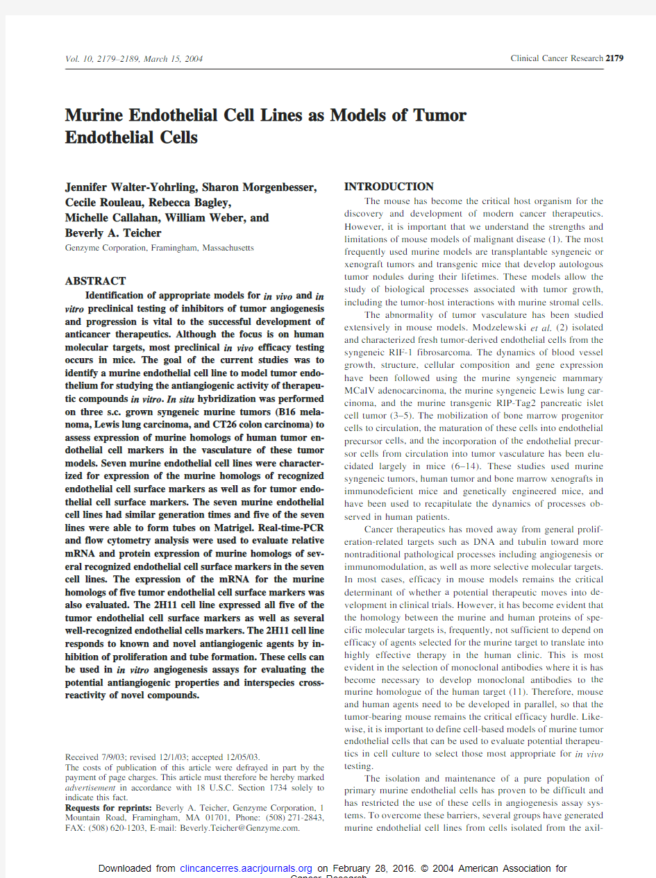 Murine endothelial cell lines as models of tumorendothelial cells