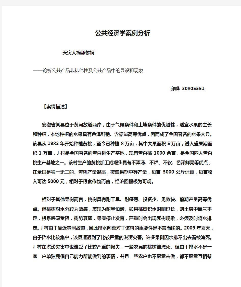 公共经济学案例分析