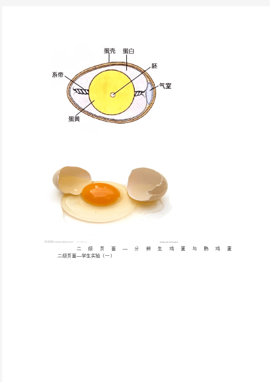 模块四_网页制作课件作业《有趣的鸡蛋》