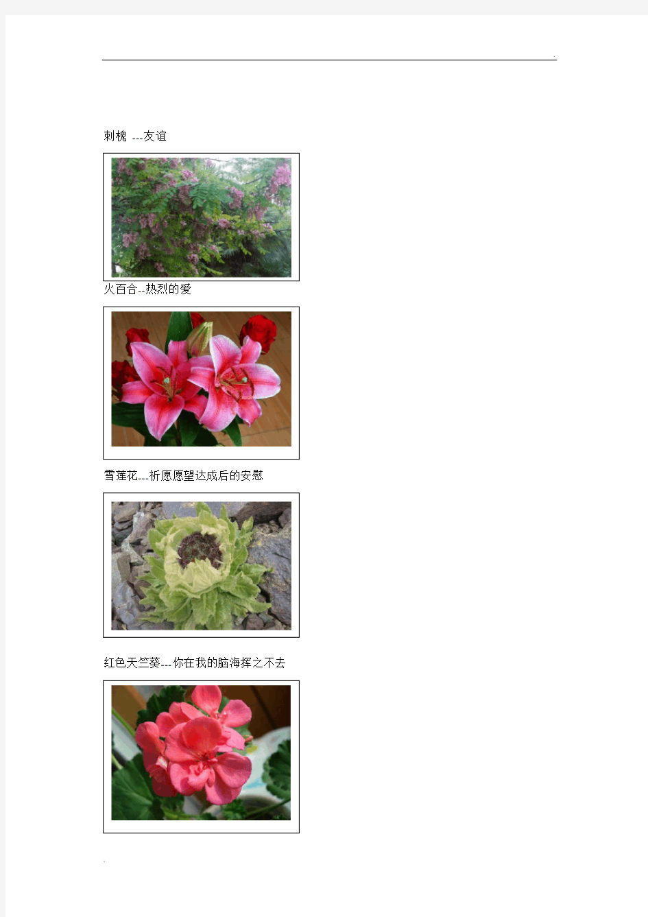 100种花的花语和图片
