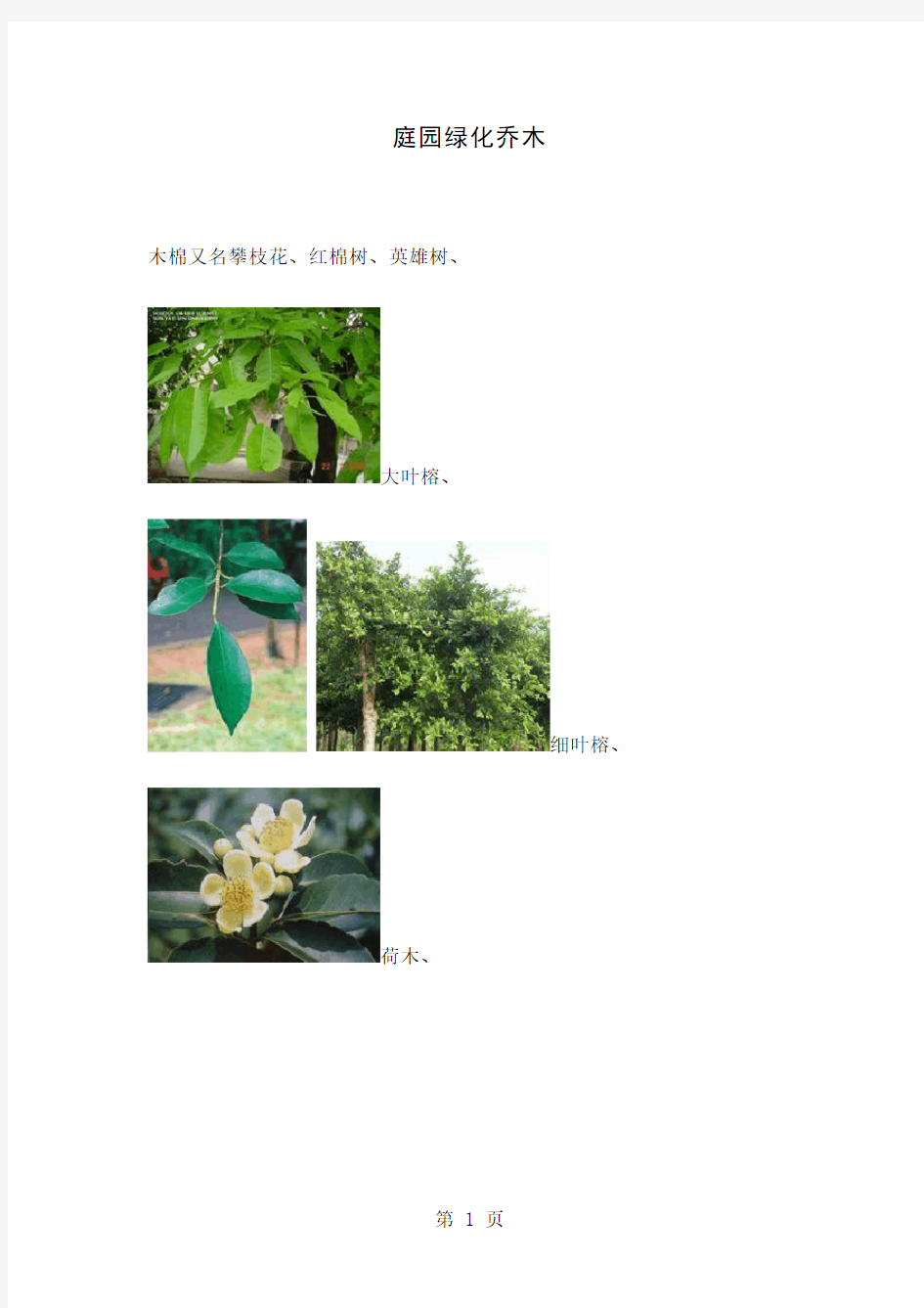华南(广东、广西、海南)常用园林植物带图版共19页文档