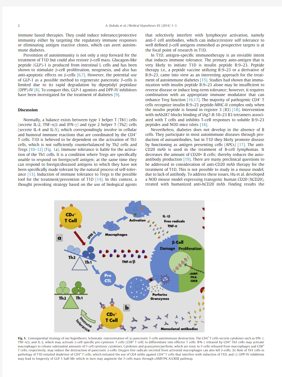 Combination of monocloDPP-IV inhibitorsin the treatment of type 1