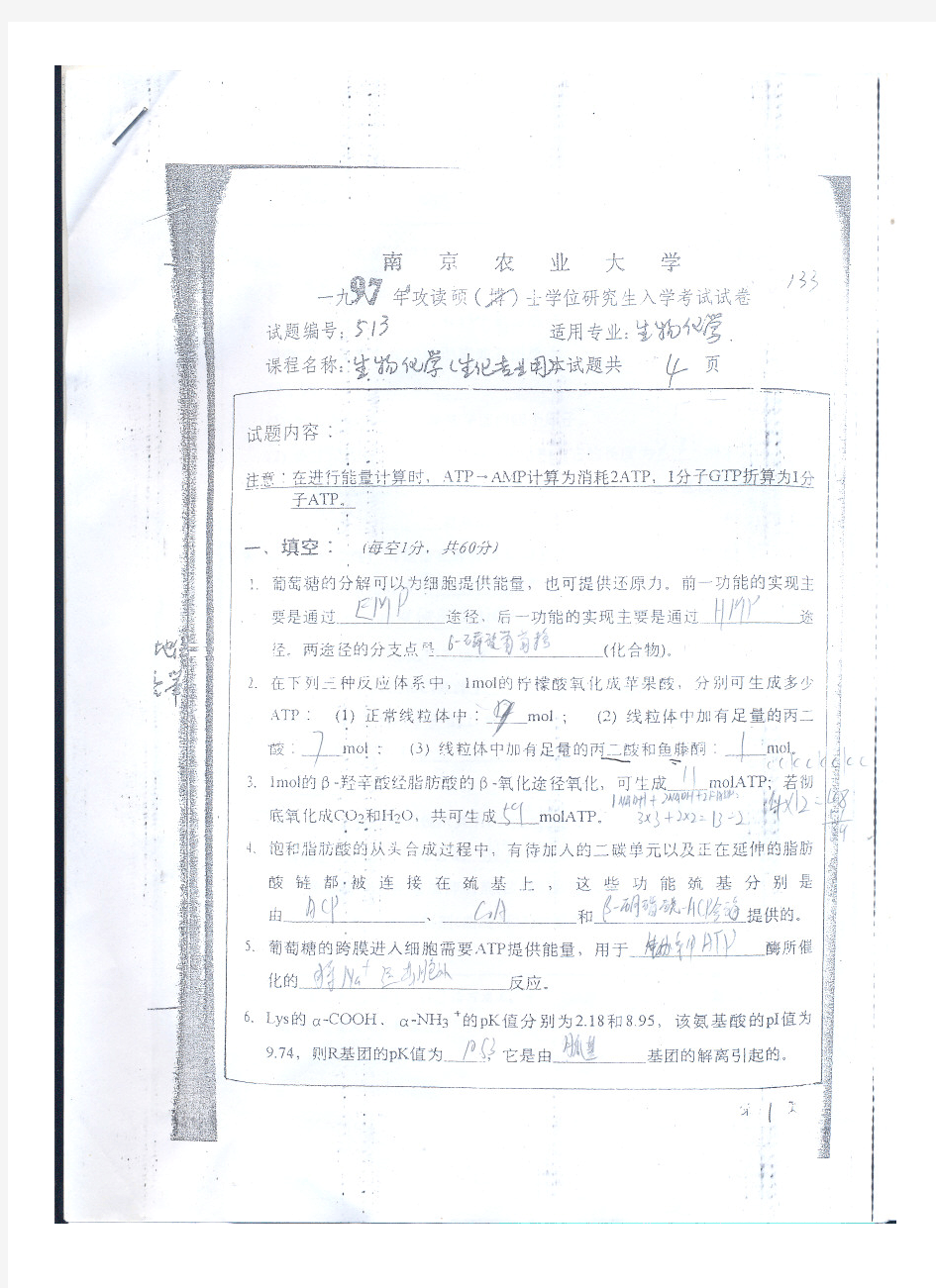 南京农业大学考研生化97