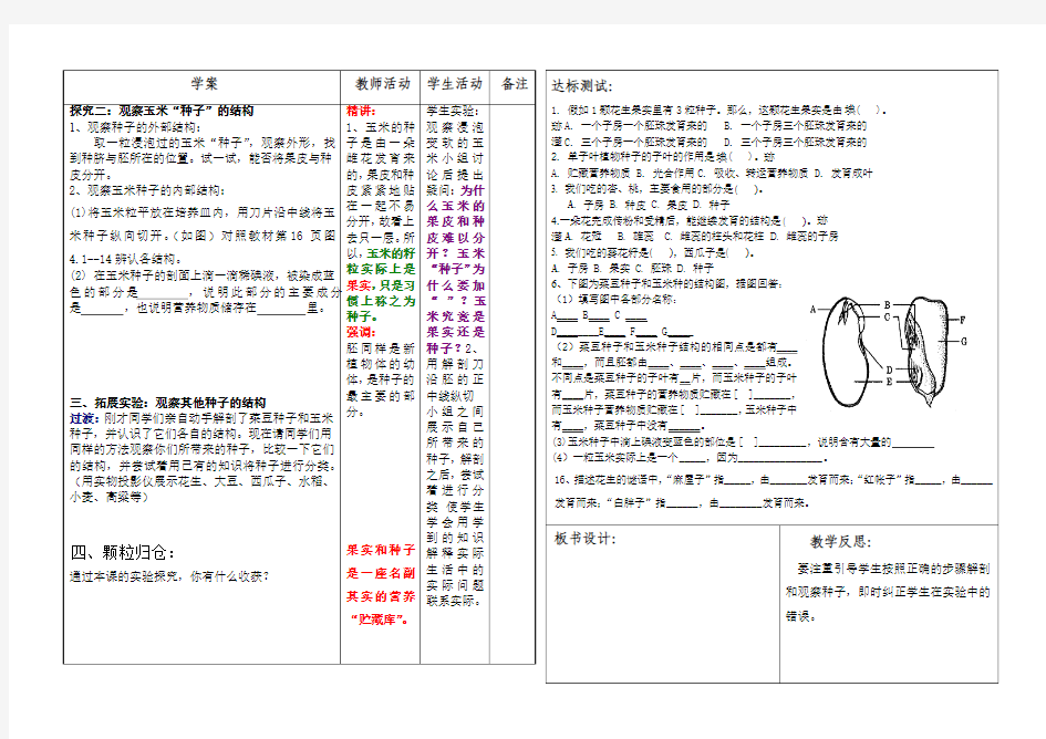 第三节果实和种子的形成2