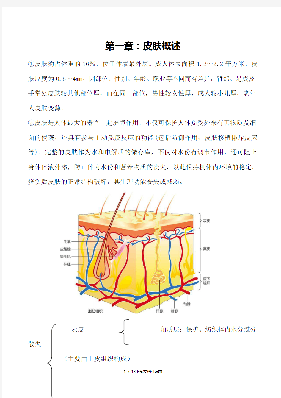 皮肤管理基础知识