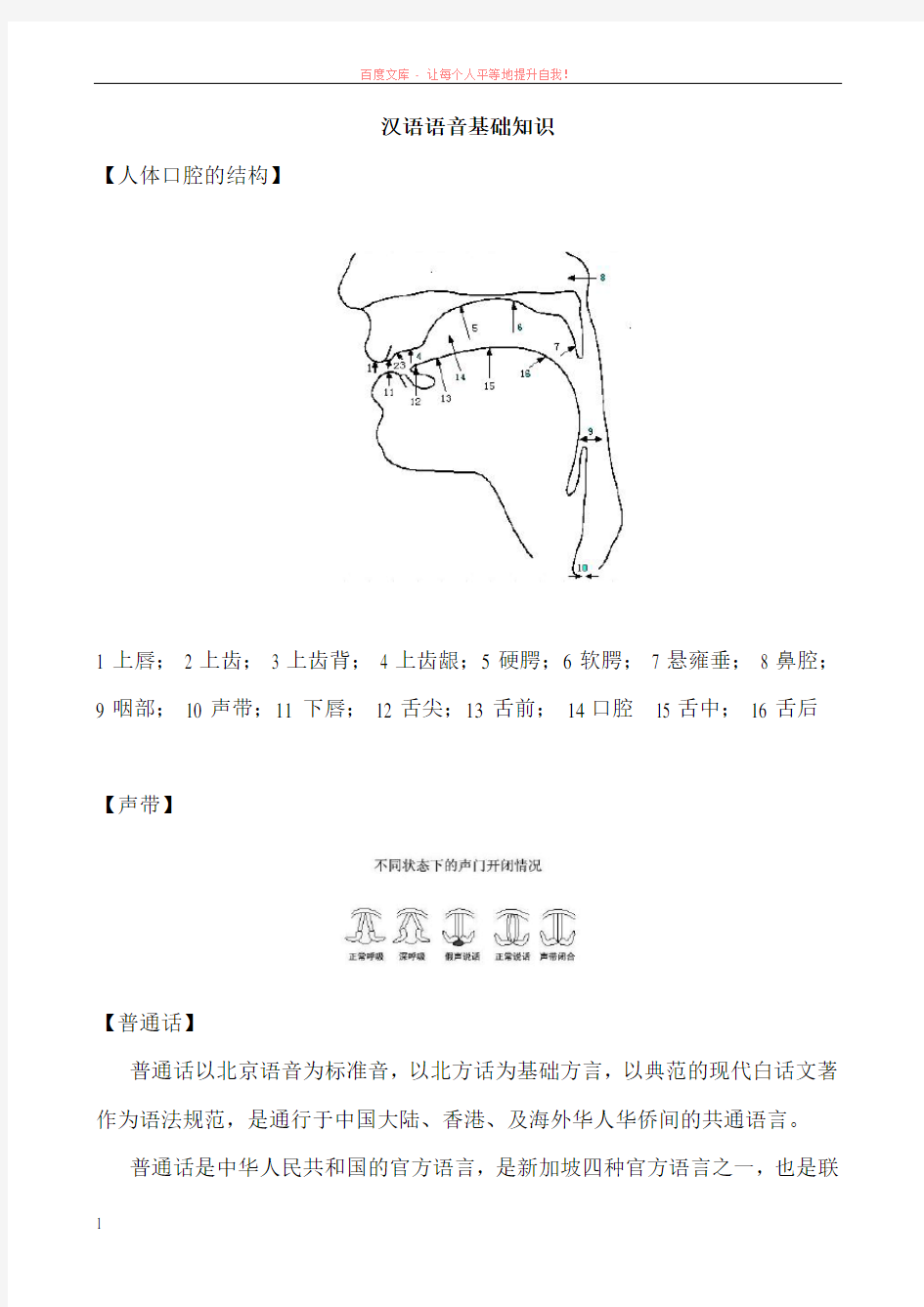 汉语拼音基础知识(教案) (1)