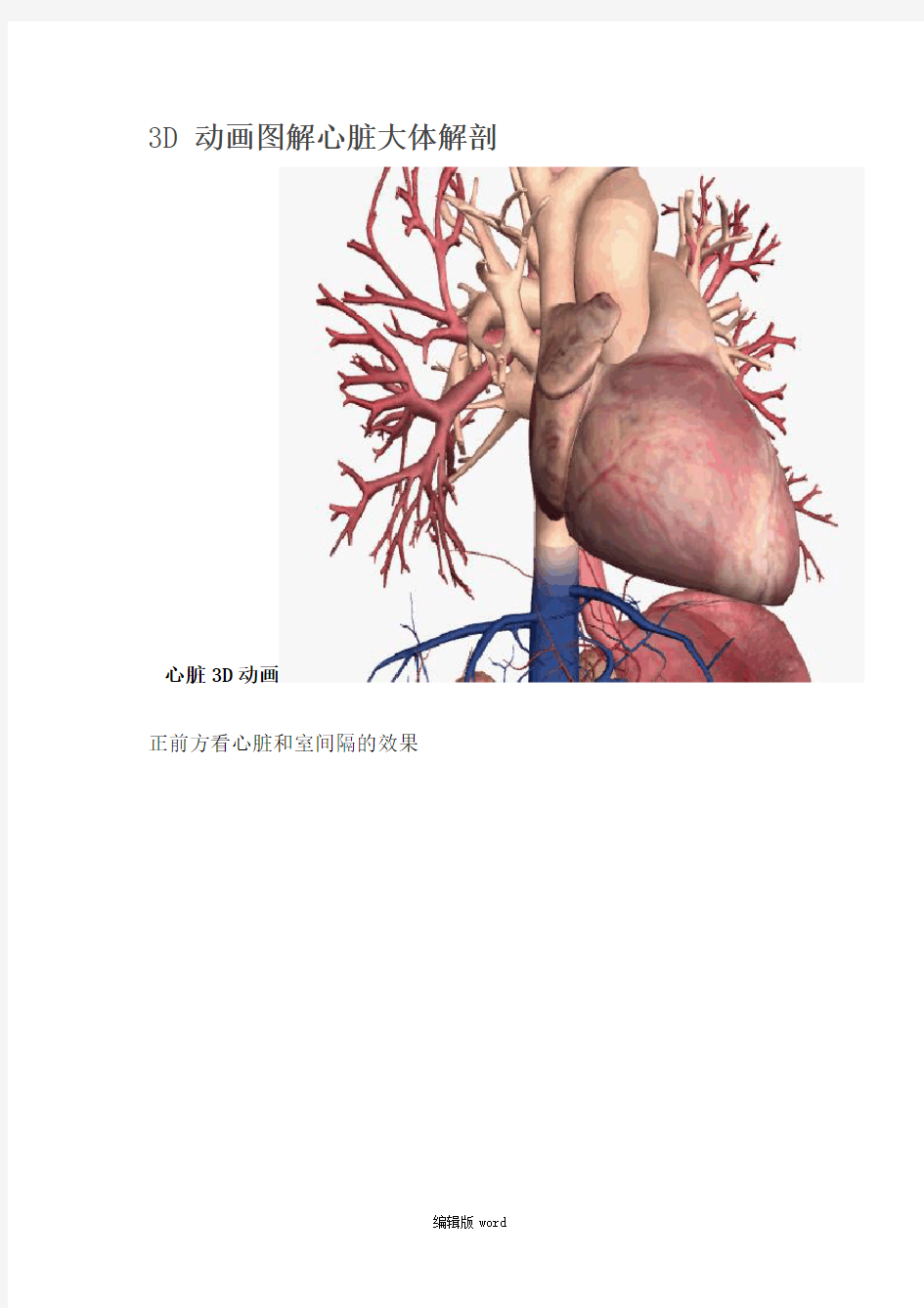 3D动画图解心脏大体解剖