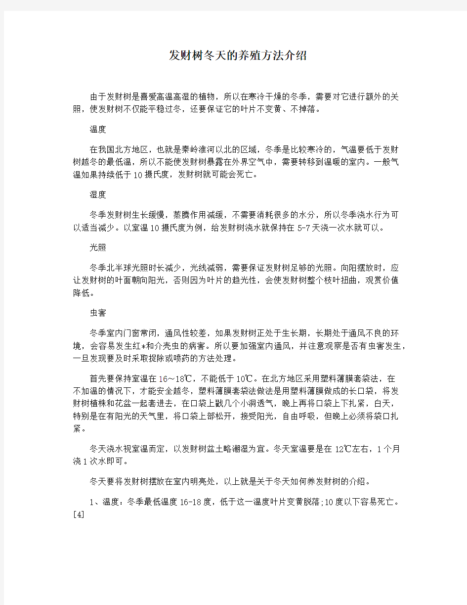 发财树冬天的养殖方法介绍