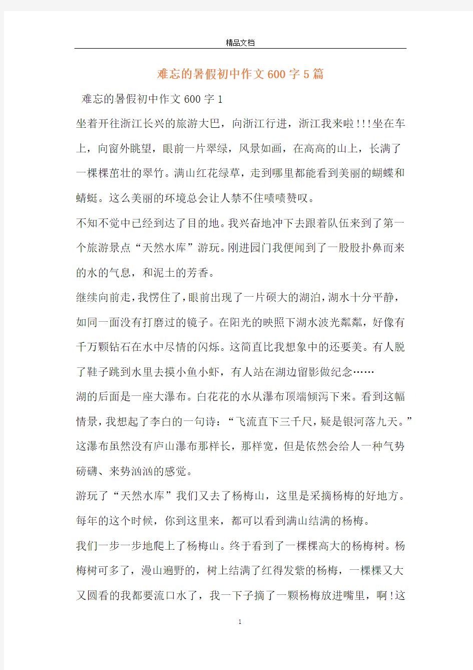 难忘的暑假初中作文600字5篇