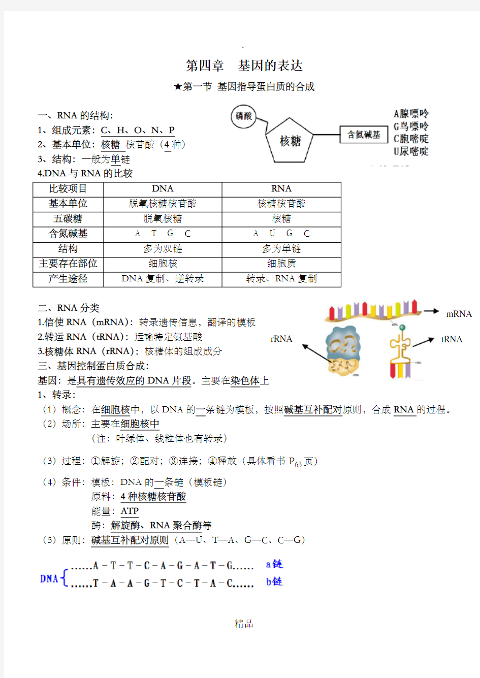 高中生物必修二第四章