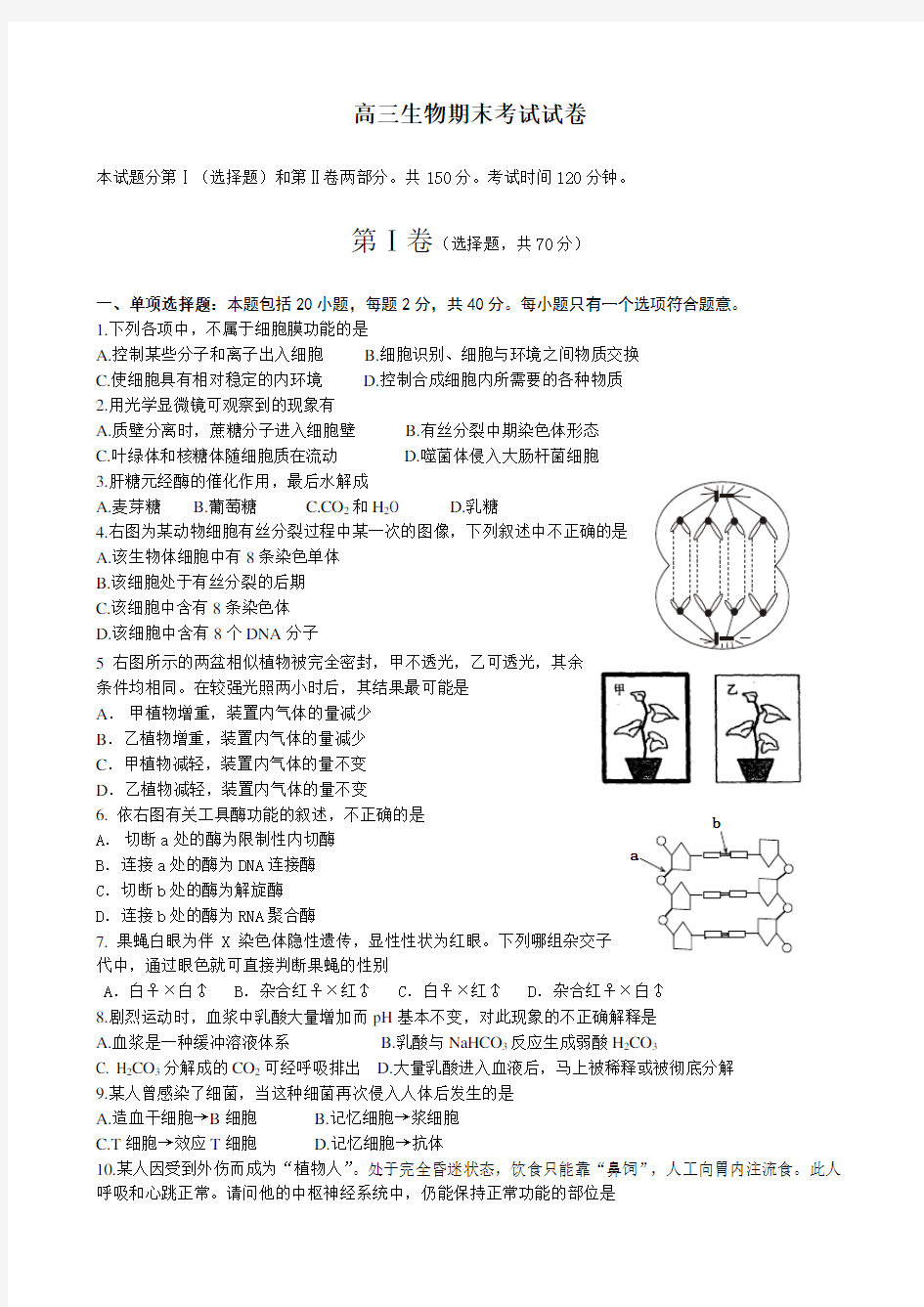 高三生物期末考试试卷