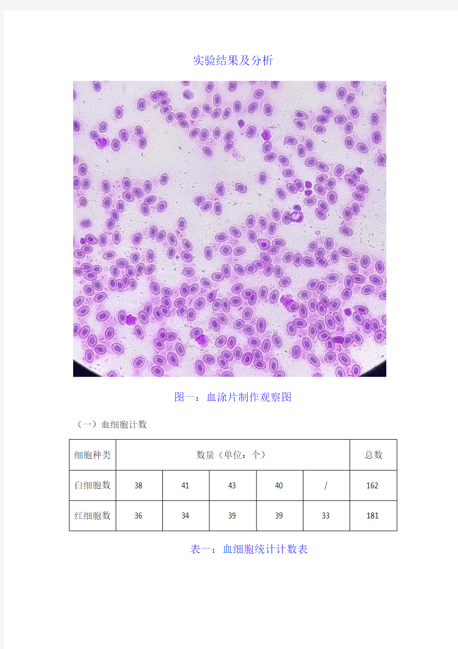 血细胞计数实验报告