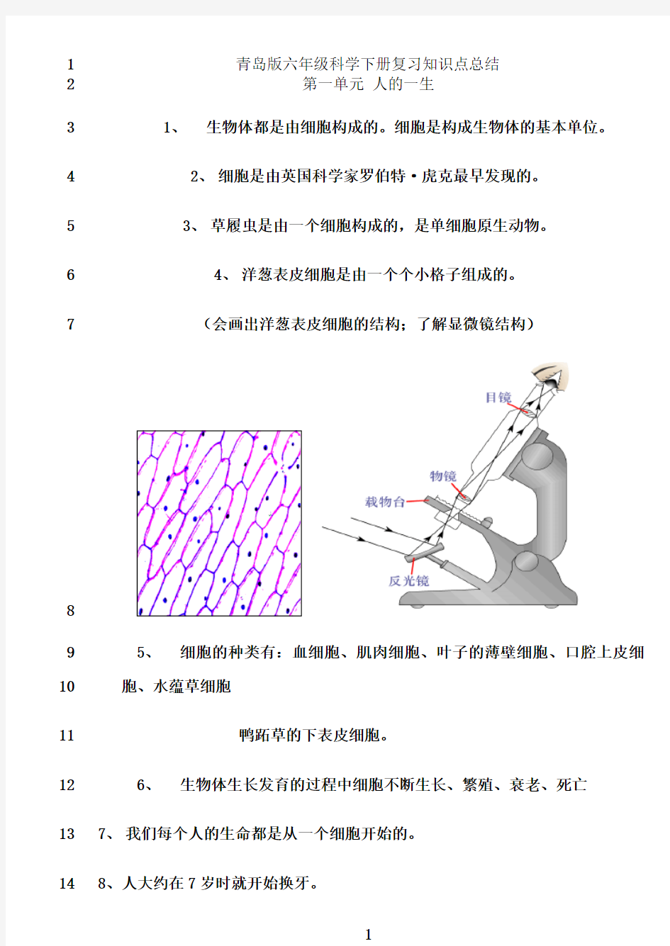 最新青岛版六年级下册科学(全册)知识点总结及试题