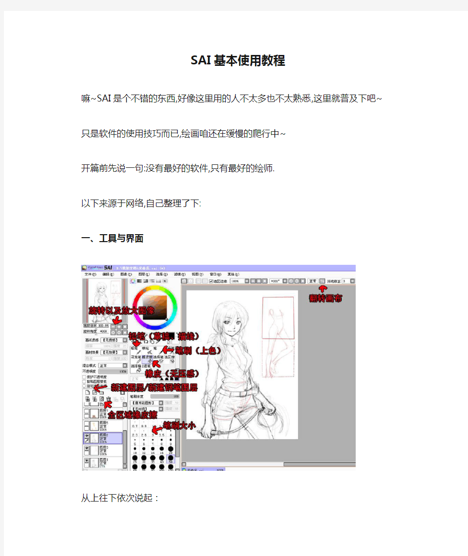 SAI基本使用教程