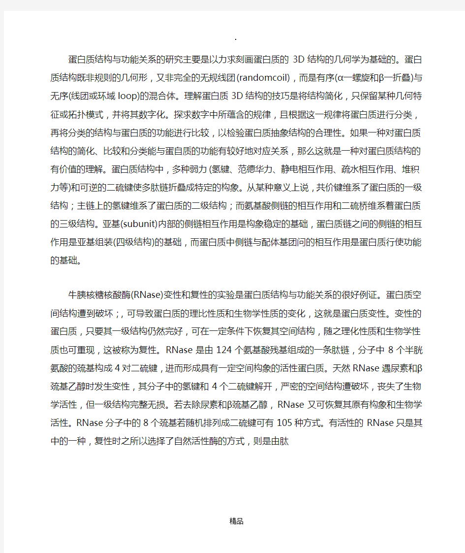 蛋白质结构与功能的关系94592